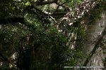 tt1261_05