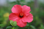 IMG_7407_resize