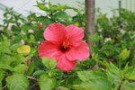 IMG_7409_resize