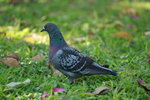 IMG_5665_resize