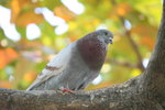 IMG_5683_resize