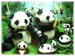 panda