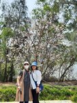 IMG-20250326-WA0010