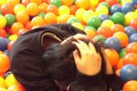 CIMG1082