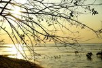 PICT0839