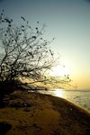 PICT0843
