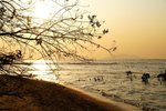 PICT0860