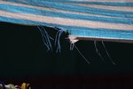 DSC00459s