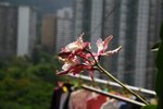 IMG_1792s