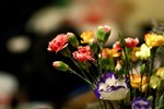 DSC00410