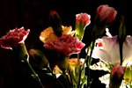 PICT6582
