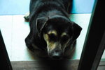 Thai-08travel-006