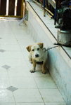 Thai-08travel-007