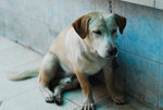 Thai-08travel-008