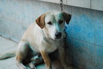 Thai-08travel-009