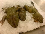 Thai-08travel-029