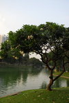 Thai-08travel-075