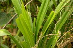 PICT0250