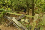 PICT0252