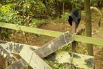 PICT0253