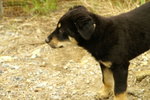 PICT0262