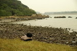 PICT0294