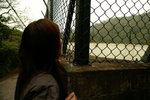 PICT0311