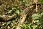 PICT0320
