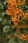 PICT0362