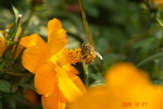 _DSC0050