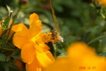 _DSC0052