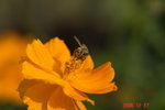 _DSC0057