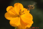 _DSC0078