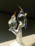 _DSC0105a