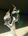 _DSC0109a