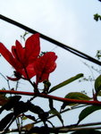DSC09212
