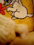 DSC09231
