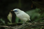 Img0018