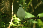 Img0020