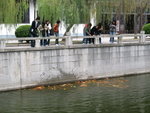 IMG_1168