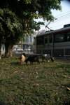 PICT0047new
