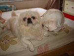 DSC03699
