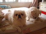 DSC03706