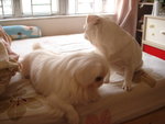 DSC03707