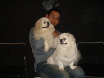 Puffy Puppies020
