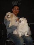 Puffy Puppies023