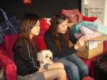Puffy Puppies043