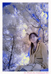 DSC_Eve_4078S