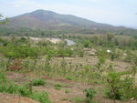DSC03773