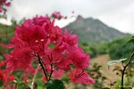 IMG_5396